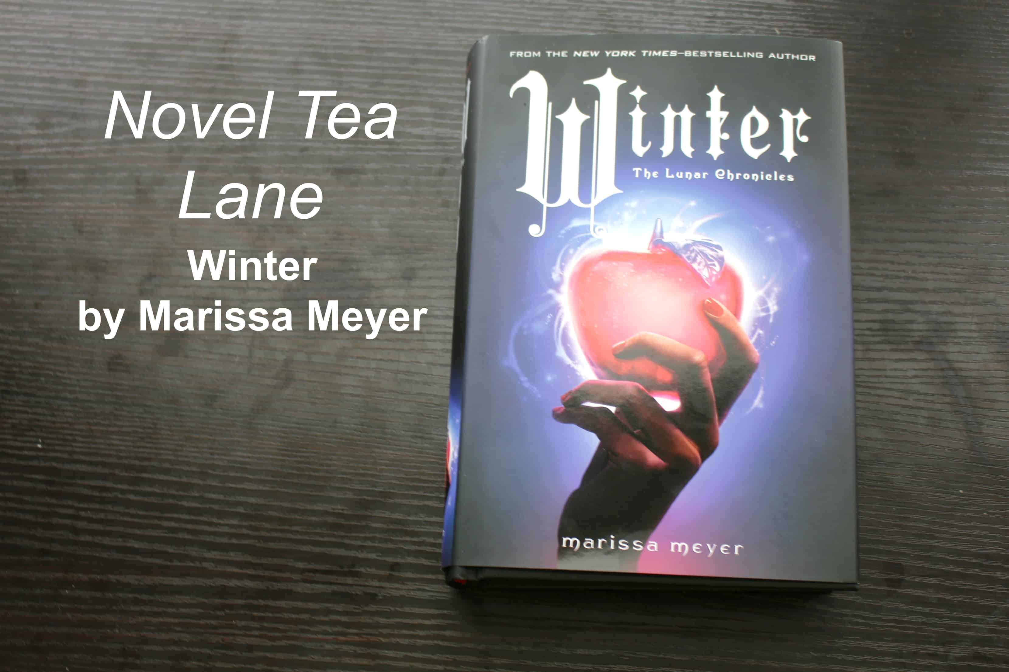 View Winter By Marissa Meyer Book Background